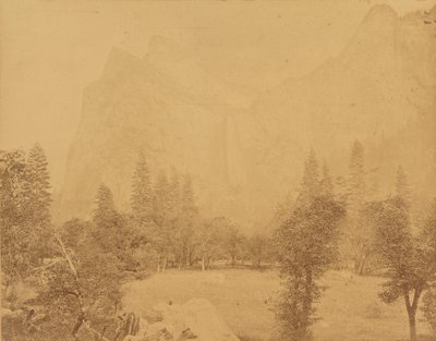 Pohona. Valley of the Yosemite by Eadweard J. Muybridge