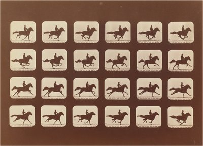 Horses Running by Eadweard Muybridge