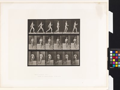 Plate 10. Walking by Eadweard Muybridge