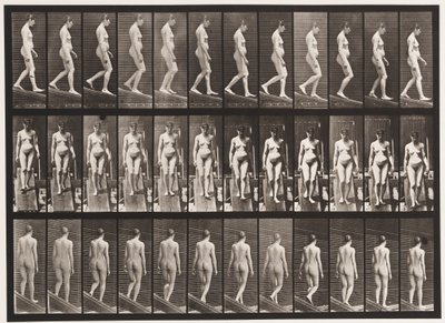 Descending Incline by Eadweard Muybridge