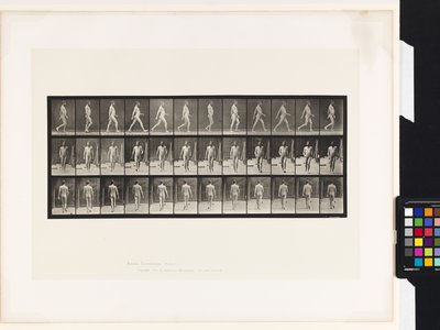 Plate 11. Walking by Eadweard Muybridge