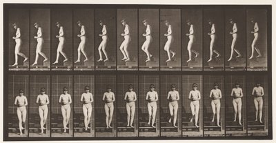 Descending Stairs, Hands Clasped by Eadweard Muybridge