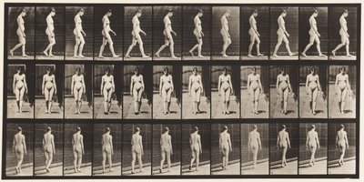 Plate 13. Walking by Eadweard Muybridge