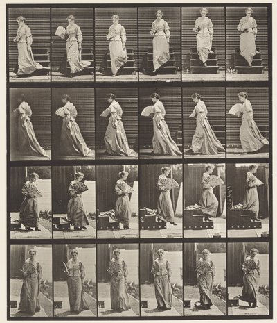 Descending Stairs and Flirting Fan (Plate 141) by Eadweard Muybridge