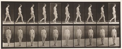 Plate 15. Walking by Eadweard Muybridge