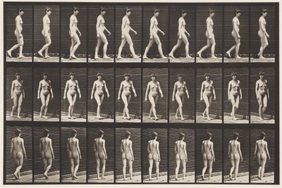 Walking by Eadweard Muybridge