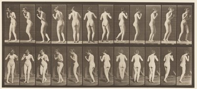 Plate 195. Dancing Waltz by Eadweard Muybridge