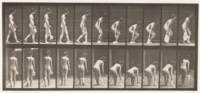 Plate 202. Dropping and Lifting a Handkerchief by Eadweard Muybridge