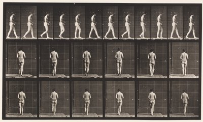 Plate 21. Walking, Both Elbows Bent by Eadweard Muybridge
