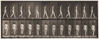 Plate 25. Walking, With High-Heeled Shoes On by Eadweard Muybridge