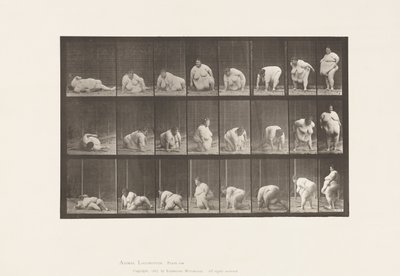 Arising from the Ground by Eadweard Muybridge
