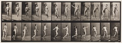 Cricket; Round Arm Bowling by Eadweard Muybridge