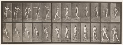 Cricket; Over Arm Bowling by Eadweard Muybridge
