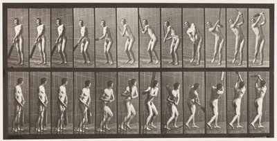Cricket; Batting; Drive by Eadweard Muybridge