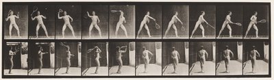 Plate 294. Lawn Tennis; Serving by Eadweard Muybridge