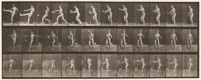 Plate 301. Foot-ball; Punt, 1885 by Eadweard Muybridge
