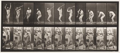 Plate 308. Throwing the Hammer by Eadweard Muybridge
