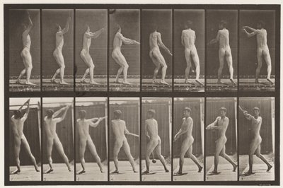 Plate 309. Throwing the Hammer by Eadweard Muybridge