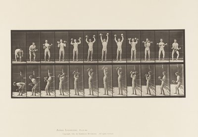 Man Lifting Dumbbells by Eadweard Muybridge