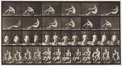 Plate 327. Rowing by Eadweard Muybridge