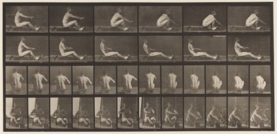 Plate 328. Rowing by Eadweard Muybridge