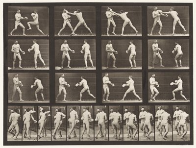 Boxing; With Gloves by Eadweard Muybridge