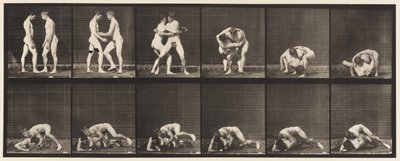 Wrestling, Lock by Eadweard Muybridge