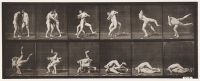 Plate 347. Wrestling, Graeco-Roman, 1885 by Eadweard Muybridge