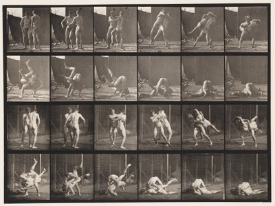 Wrestling, Graeco-Roman by Eadweard Muybridge