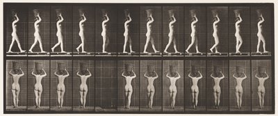 Plate 34. Walking by Eadweard Muybridge