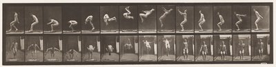Plate 362. Back Somersault by Eadweard Muybridge