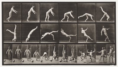 Headspring, A Flying Pigeon Interfering by Eadweard Muybridge