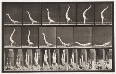 Acrobat, Horizontal Press Up by Eadweard Muybridge