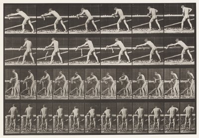 Carpenter, Planing a Board, 1872-1885 by Eadweard Muybridge