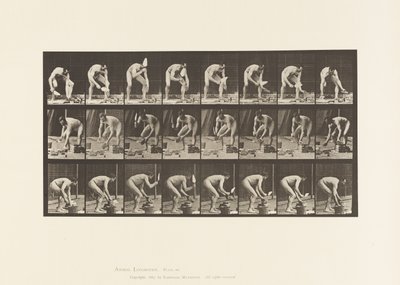 Plate 381. Mason, Laying a Brick by Eadweard Muybridge