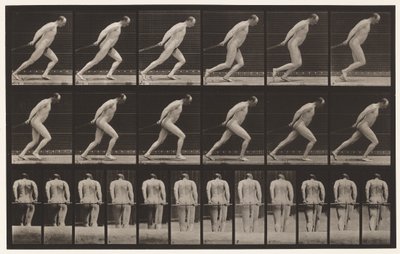 Dragging a Garden Roller by Eadweard Muybridge