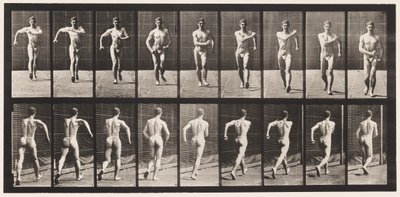 Plate 3. Walking by Eadweard Muybridge