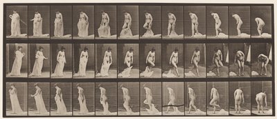 Plate 430. Toilet; Taking Off Clothing by Eadweard Muybridge