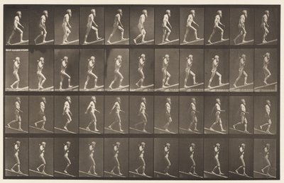 Plate 489. Ascending Incline, 1872-1885 by Eadweard Muybridge