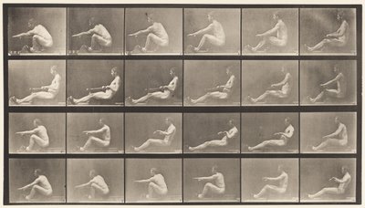 Plate 492. A by Eadweard Muybridge
