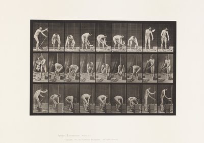 Plate 505. Bricklaying by Eadweard Muybridge