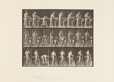 Carpentering by Eadweard Muybridge