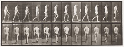 Epilepsy; Walking by Eadweard Muybridge
