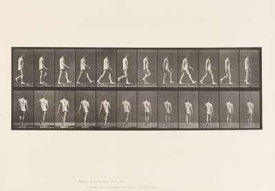 Locomotor Ataxia; Walking by Eadweard Muybridge