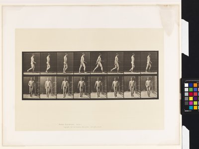 Plate 5. Walking by Eadweard Muybridge