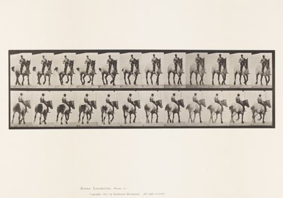 Plate 600. Trotting; Bareback; Dark-Gray Dusel by Eadweard Muybridge