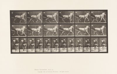 Trotting; Sulky; Gray Mare, Katydid (Plate 611) by Eadweard Muybridge
