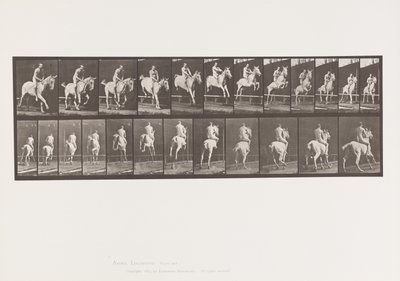 Plate 647. Jumping a Hurdle; Bareback; Rider by Eadweard Muybridge