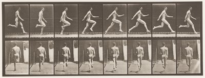 Running at Full Speed by Eadweard Muybridge