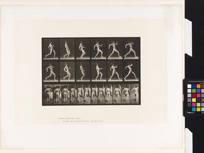 Plate 7. Walking by Eadweard Muybridge